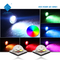 Diodo emissor de luz 5050 Chip Color Lights Ambient Lights do RGB RGBW 3-12W 3535 do poder superior