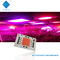 Microplaqueta Driverless 380-780nm do diodo emissor de luz da ESPIGA da C.A. 110V 220V 50W 100W para o crescimento/luz de rua