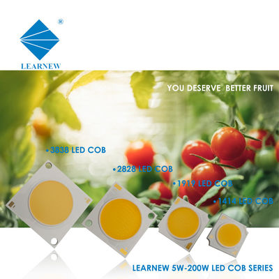 LED COB para lâmpada de parede e holofotes
