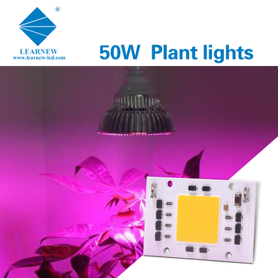 Full Spectrum AC 50w LED COB Chip 200v 240v 4046 AC LED Chip para luz de crescimento