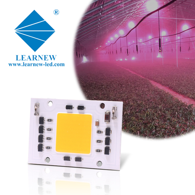 Full Spectrum AC 50w LED COB Chip 200v 240v 4046 AC LED Chip para luz de crescimento