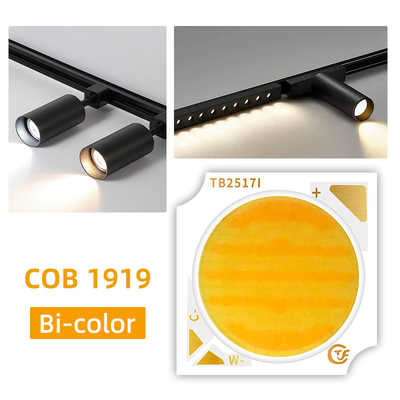 18W 24W 25W 30W Bi Color COB LED 1919 Série com tamanho inteiro 19x19MM e CCT 2800K/6500K