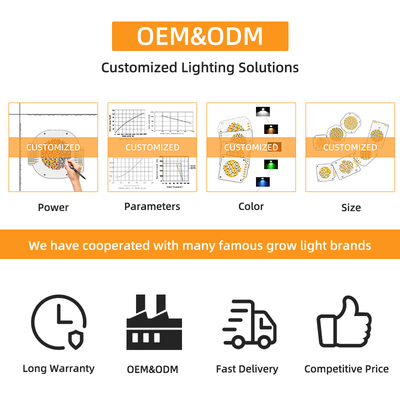 Bi color Cob Led Chip 6060 Dual CCT 2700K 6500K Cob Chip de alta potência 300W * 2 LEDs