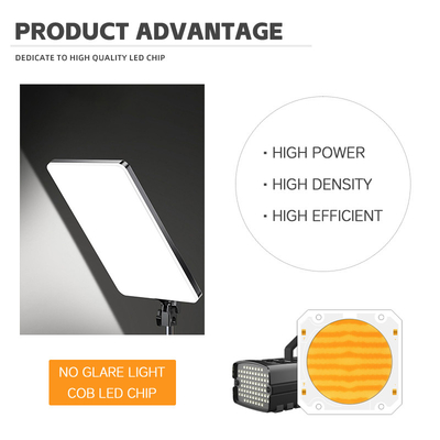 CCT COB LED ajustável 195-205V 2500K 6500K LED de dupla cor 300W + 300W High CRI LED Chips 6060