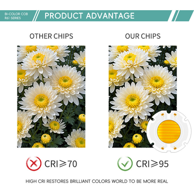chip bi-color de alta potência 200W 6060 LED cob chip para luz fotográfica