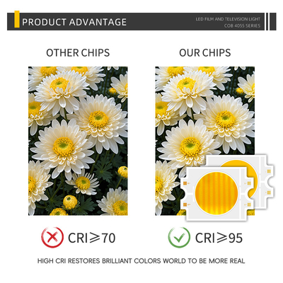 Power LED personalizado 300W Bi-color Quente + Frio Branco 4055 Bicolor Dois CCT CRI95 COB LED Chip