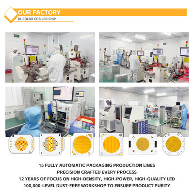 Material de alumínio personalizado COB Chip 2424 em Branco Azul Vermelho & Verde Alto brilho China Factory