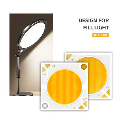 Material de alumínio personalizado COB Chip 2424 em Branco Azul Vermelho & Verde Alto brilho China Factory