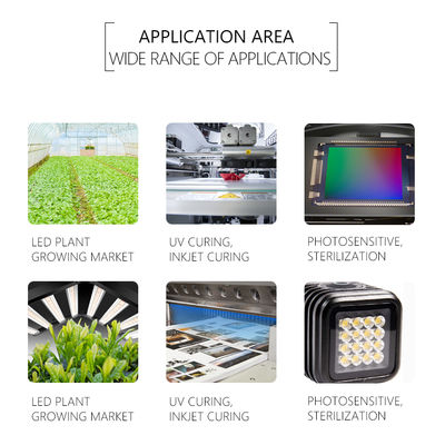 Chip LED UV personalizável SMD 3535 3838 8025 220-420nm Garantia de 5 anos