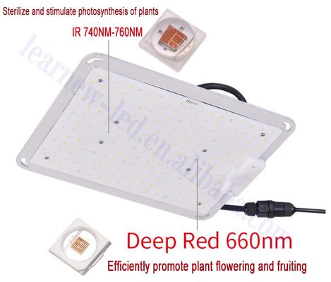 3030 SMD LED Chip 660nm Red 0.5W 1W for Plant Grow Lights