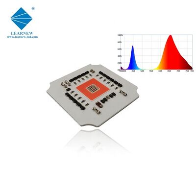 100w 7070 Baixa Resistência Térmica LED COB para Iluminação de Crescimento de Plantas