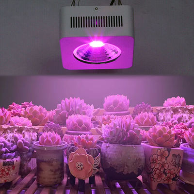 200W Full Spectrum COB LED Grow Light Multi Wavelength Alumínio