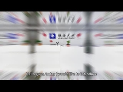 Série de chips LED COB de duas cores