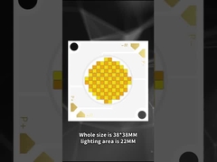 3838 LED COB de dupla cor